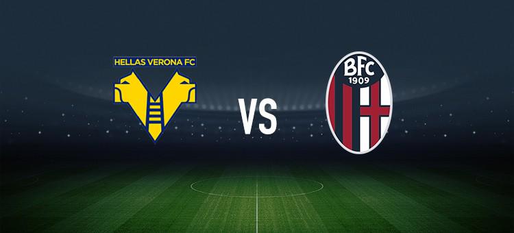 员在高强度 员在高强度