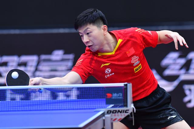 可能会导致 可能会导致